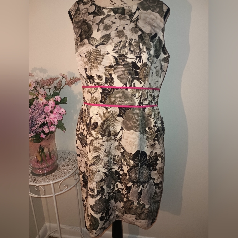 NWT Women's Eliza J Cream and Black Floral and Pink Trim Sleeveless Dress Sz 14